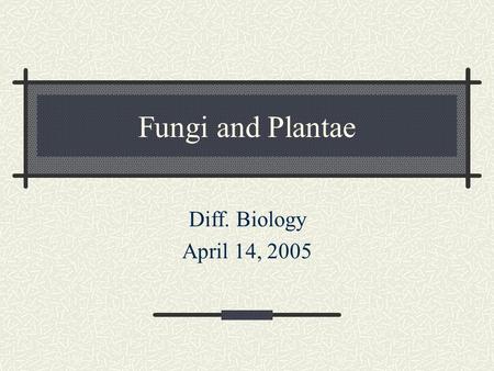 Fungi and Plantae Diff. Biology April 14, 2005. A little fun for the day… Mushroom walks into a bar and asks for a drink. Bartender says, “Sorry, we don’t.