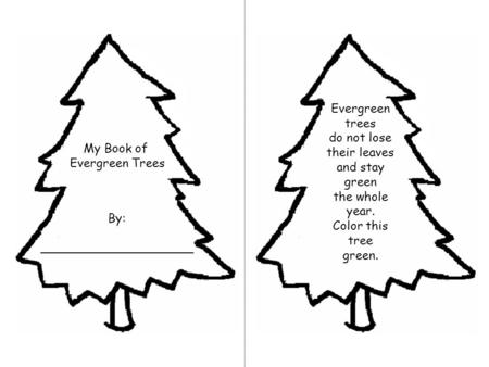 My Book of Evergreen Trees By: ____________________ Evergreen trees do not lose their leaves and stay green the whole year. Color this tree green.