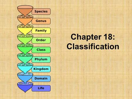 Chapter 18: Classification. You are required to put on clothes each day before coming to school. How do you go about this in the most efficient manner.