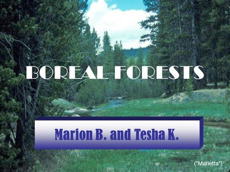 BOREAL FORESTS Marion B. and Tesha K. (“Marietta”)