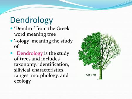 Dendrology ‘Dendro-’ from the Greek word meaning tree