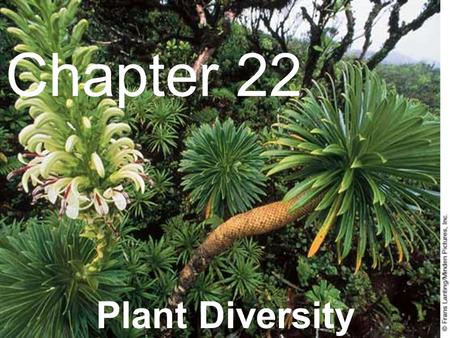 Chapter 22 Plant Diversity.