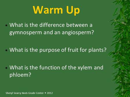 Sheryl Searcy Ninth Grade Center  2012 Warm Up  What is the difference between a gymnosperm and an angiosperm?  What is the purpose of fruit for plants?