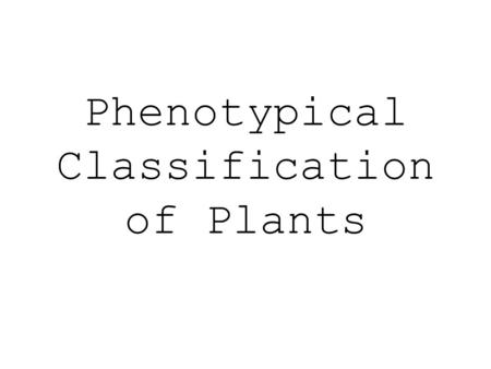 Phenotypical Classification of Plants. Flow Chart.