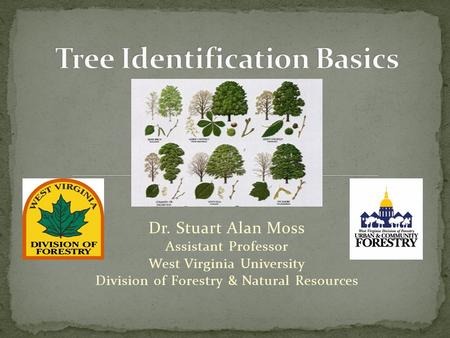 Dr. Stuart Alan Moss Assistant Professor West Virginia University Division of Forestry & Natural Resources.