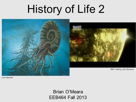 History of Life 2 Brian O’Meara EEB464 Fall 2013 Lisa Marshall BBC Walking with Monsters.