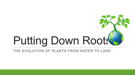 Putting Down Roots THE EVOLUTION OF PLANTS FROM WATER TO LAND.