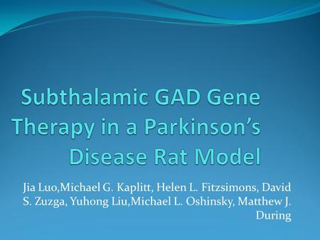Subthalamic GAD Gene Therapy in a Parkinson’s Disease Rat Model