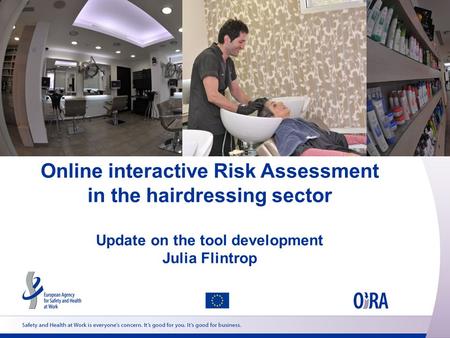Online interactive Risk Assessment in the hairdressing sector