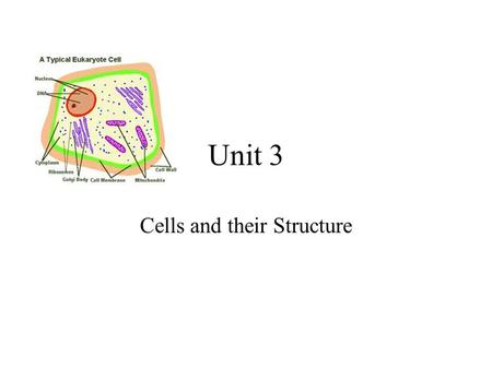 Unit 3 Cells and their Structure. Levels of Organization.
