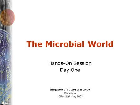 SIBiol. The Microbial World Hands-On Session Day One Singapore Institute of Biology Workshop 30th - 31st May 2003.
