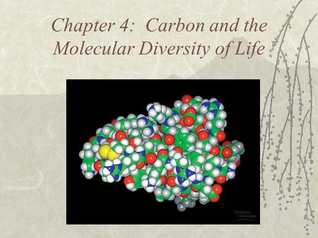 Chapter 4: Carbon and the Molecular Diversity of Life.