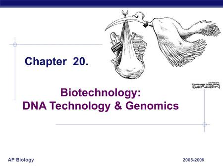 AP Biology 2005-2006 Chapter 20. Biotechnology: DNA Technology & Genomics.