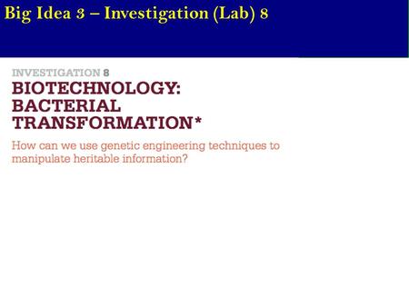 Big Idea 3 – Investigation (Lab) 8. Recall how a gene of interest is obtained (PCR), inserted into a plasmid using restriction enzymes / DNA ligase, and.