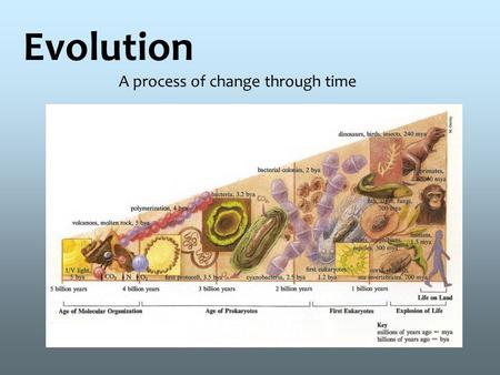 Evolution A process of change through time. Charles Darwin First Scientist to study evolution on the Galapagos Islands Aboard the HMS Beagle December.