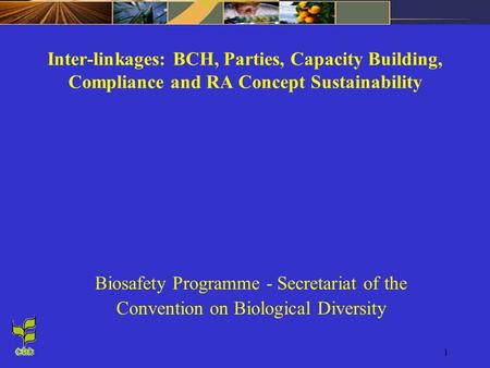 1 Inter-linkages: BCH, Parties, Capacity Building, Compliance and RA Concept Sustainability Biosafety Programme - Secretariat of the Convention on Biological.