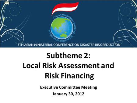 Subtheme 2: Local Risk Assessment and Risk Financing Executive Committee Meeting January 30, 2012.
