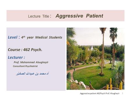 Lecture Title : Aggressive Patient Level : 4 th year Medical Students Course : 462 Psych. Lecturer : Prof. Mohammed Alsughayir Consultant Psychiatrist.