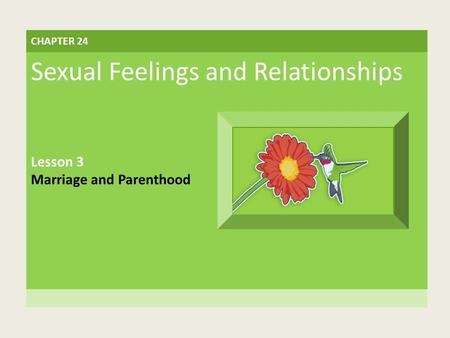 CHAPTER 24 Sexual Feelings and Relationships Lesson 3 Marriage and Parenthood.