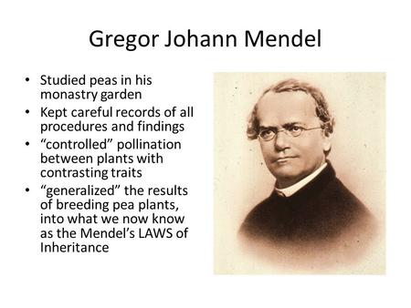 Gregor Johann Mendel Studied peas in his monastry garden Kept careful records of all procedures and findings “controlled” pollination between plants with.