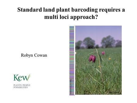 Standard land plant barcoding requires a multi loci approach? Peter Gasson Sujeevan Ratnasingham Robyn Cowan.