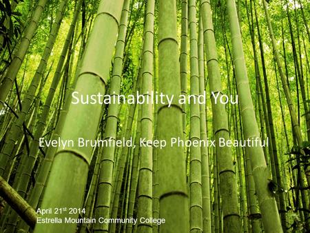 Sustainability and You Evelyn Brumfield, Keep Phoenix Beautiful April 21 st 2014 Estrella Mountain Community College.