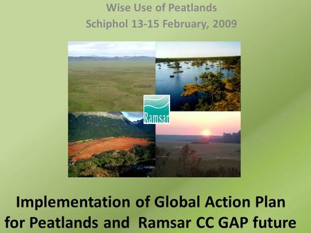 Implementation of Global Action Plan for Peatlands and Ramsar CC GAP future Wise Use of Peatlands Schiphol 13-15 February, 2009.