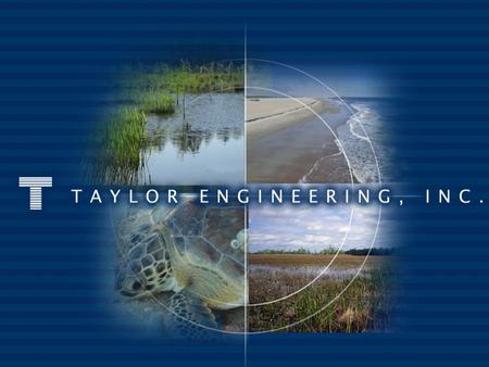Coastal Processes Analysis for Vilano Beach, St. Johns County, FL Taylor Engineering, Inc. Hande Caliskan, M.Sc. Christopher Bender, Ph.D., P.E., D.CE.