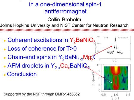 Impurities and finite temperature effects in a one-dimensional spin-1 antiferromagnet Coherent excitations in Y 2 BaNiO 5 Loss of coherence for T>0 Chain-end.