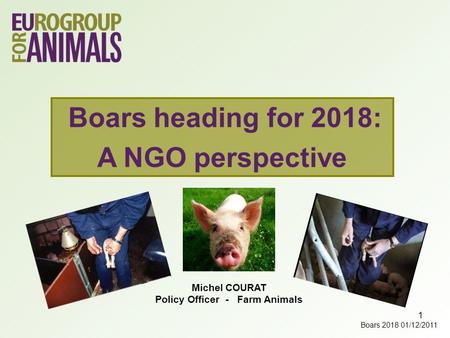 1 Michel COURAT Policy Officer - Farm Animals Boars heading for 2018: A NGO perspective Boars 2018 01/12/2011.