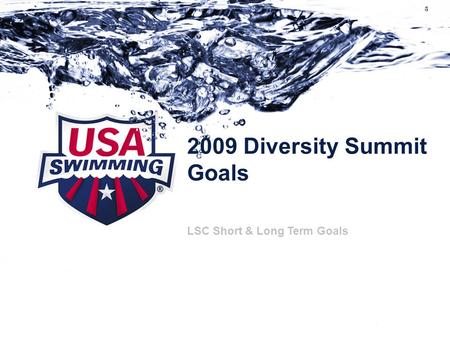 2009 Diversity Summit Goals Subtitle can go here if necessary LSC Short & Long Term Goals.