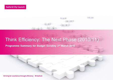 Think Efficiency: The Next Phase (2010/11) Programme Summary for Budget Scrutiny 3 rd March 2010.