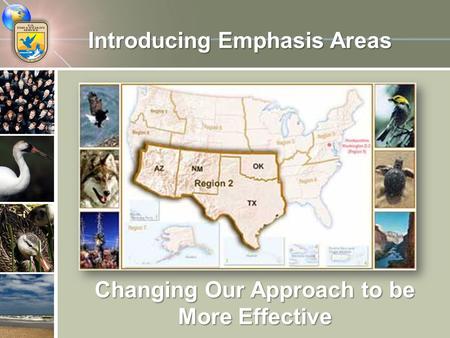 Introducing Emphasis Areas Changing Our Approach to be More Effective.
