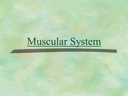 Muscular System. The Muscular System Muscles are responsible for all types of body movement Three basic muscle types are found in the body Skeletal muscle.