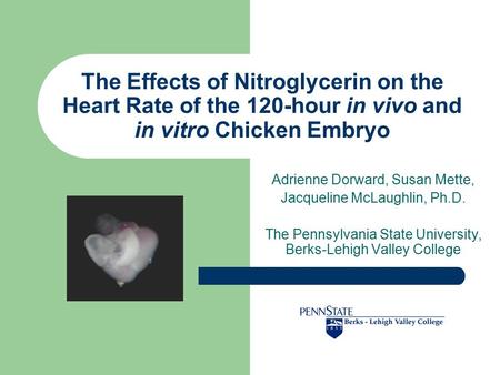 The Effects of Nitroglycerin on the Heart Rate of the 120-hour in vivo and in vitro Chicken Embryo Adrienne Dorward, Susan Mette, Jacqueline McLaughlin,