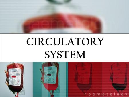 CIRCULATORY SYSTEM. FUNCTIONS Transports oxygen and nutrients to the cells Transports carbon dioxide and other waste for elimination from the body Maintains.