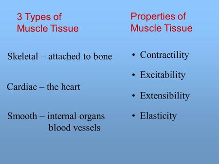 3 Types of Muscle Tissue Properties of Muscle Tissue Contractility