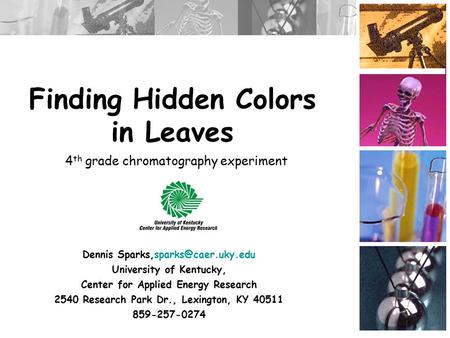 Finding Hidden Colors in Leaves Dennis University of Kentucky, Center for Applied Energy Research 2540 Research Park Dr., Lexington,