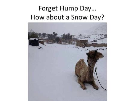 Forget Hump Day… How about a Snow Day?. Roman Republic “Rome Wasn’t Built in a Day”