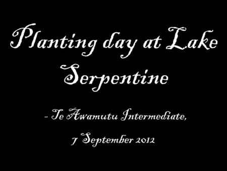 Planting day at Lake Serpentine - Te Awamutu Intermediate, 7 September 2012.