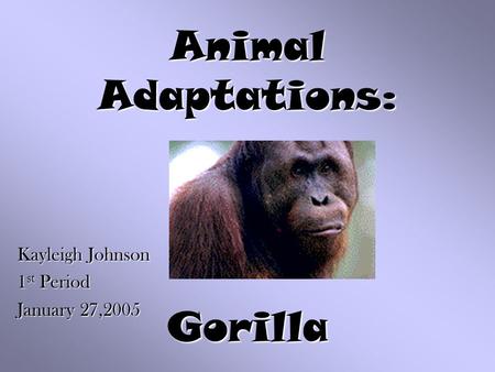 Animal Adaptations: Gorilla