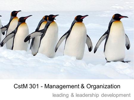 CstM 301 - Management & Organization leading & leadership development.