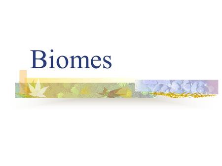 Biomes. A biome is one of Earth’s large ecosystems, with its own kind of climate, soil, plants, and animals.