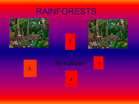 RAINFORESTS By Kaliyah 2 3 4 5. WHAT IS A RAINFOREST? A Rainforest is a island for different types of animals and people or sibling to live. With definitions.