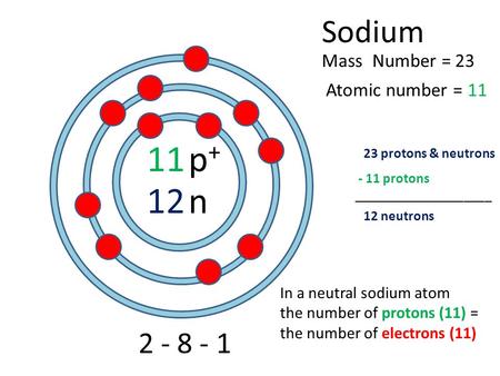 11 12 Sodium Atomic number = Mass Number = 2 - 8 - 1 p+p+ n 23 11 23 protons & neutrons 12 neutrons In a neutral sodium atom the number of protons (11)