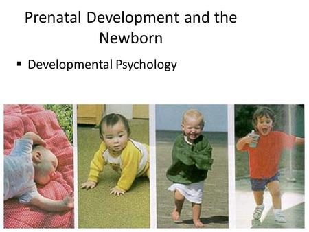 Prenatal Development and the Newborn  Developmental Psychology.