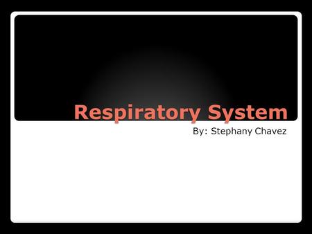 Respiratory System Respiratory System By: Stephany Chavez.