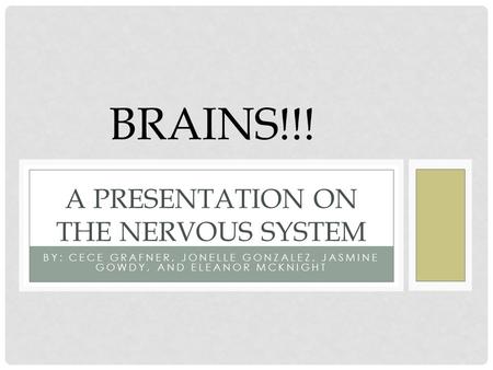 BY: CECE GRAFNER, JONELLE GONZALEZ, JASMINE GOWDY, AND ELEANOR MCKNIGHT A PRESENTATION ON THE NERVOUS SYSTEM BRAINS!!!