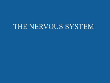 THE NERVOUS SYSTEM. Brain WHAT PARTS DO YOU KNOW THAT ARE IN THE NERVOUS SYSTEM? Spinal Cord Peripheral Nerves.