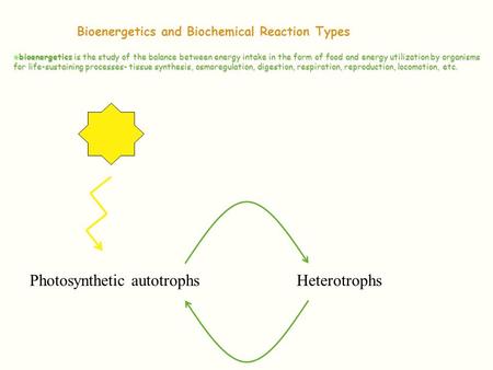 Bioenergetics and Biochemical Reaction Types